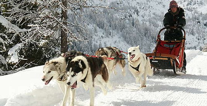 Summer Gallery, Livigno